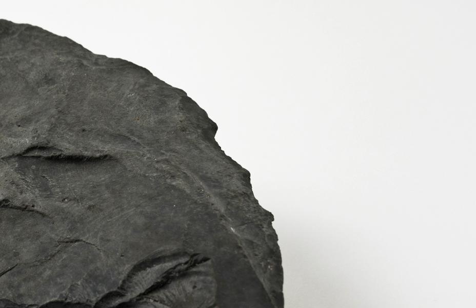 Núcleo tipo bifaz-Levallois. Detalle del borde Núcleo tipo bifaz-Levallois. Detalle del borde